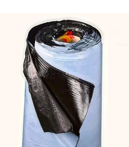 Asian SmartCare SBS Membrane